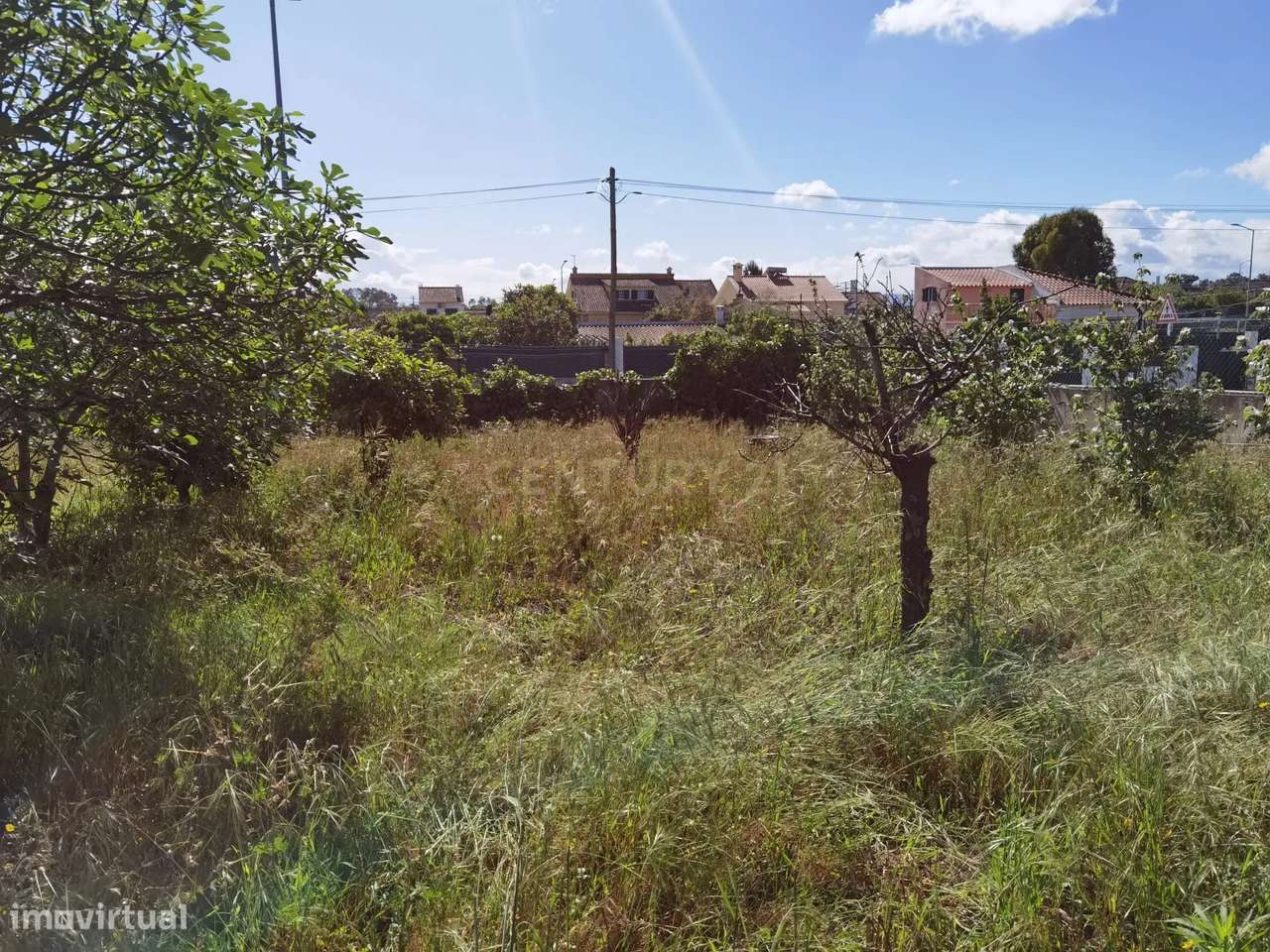 Terreno à venda em Fernão Ferro - Oportunidade única!-5