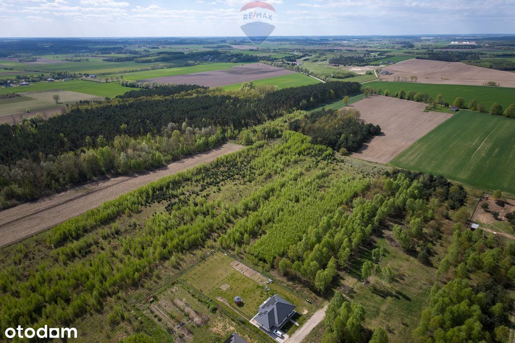 Urokliwa Działka W Sielskim Błędowie