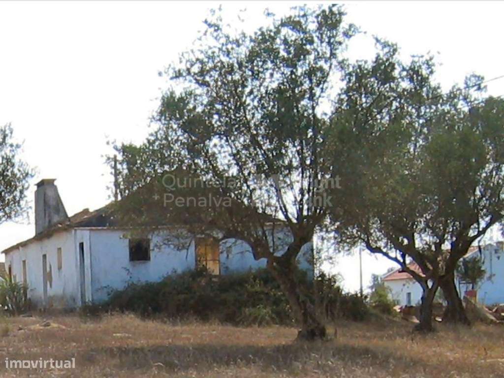 Terreno com 31750 m2 com PIP aprovado em Coruche, Santarém - Grande imagem: 2/17