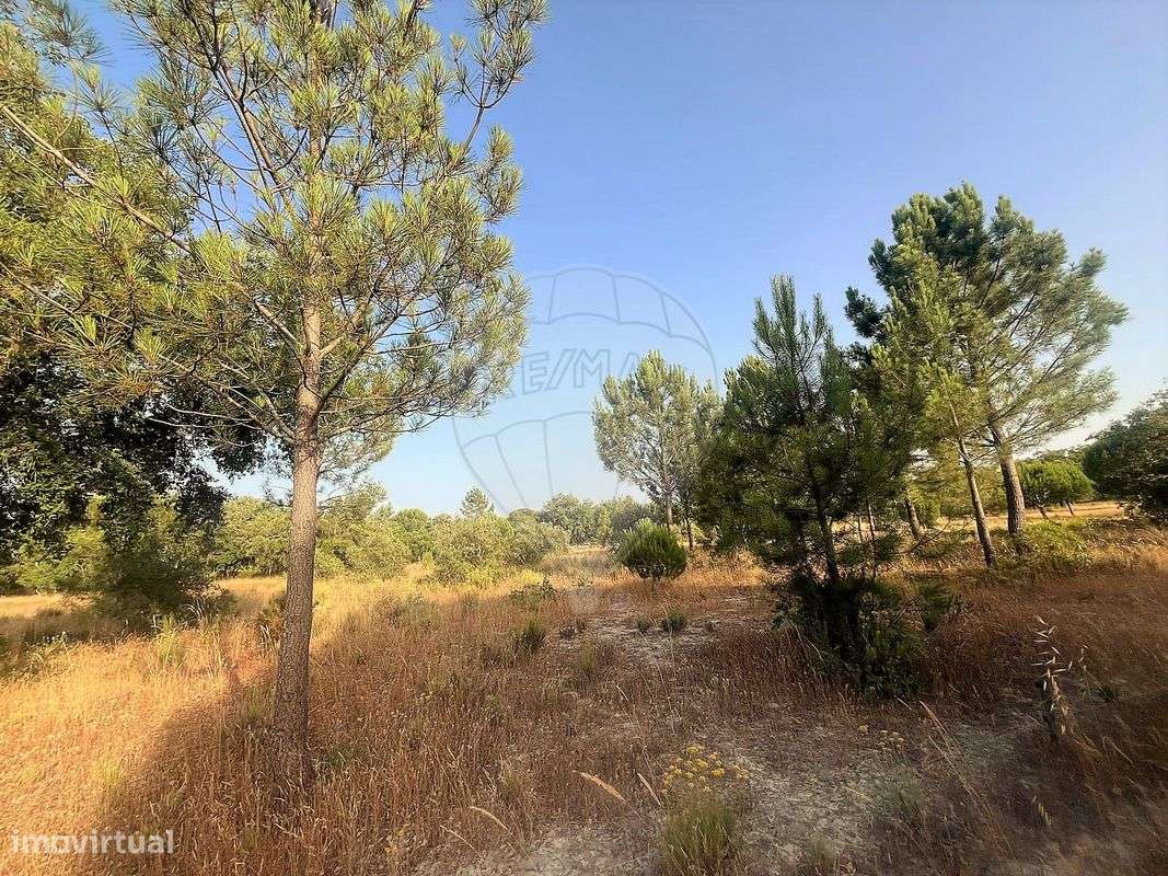 Terreno  para venda - Grande imagem: 4/7