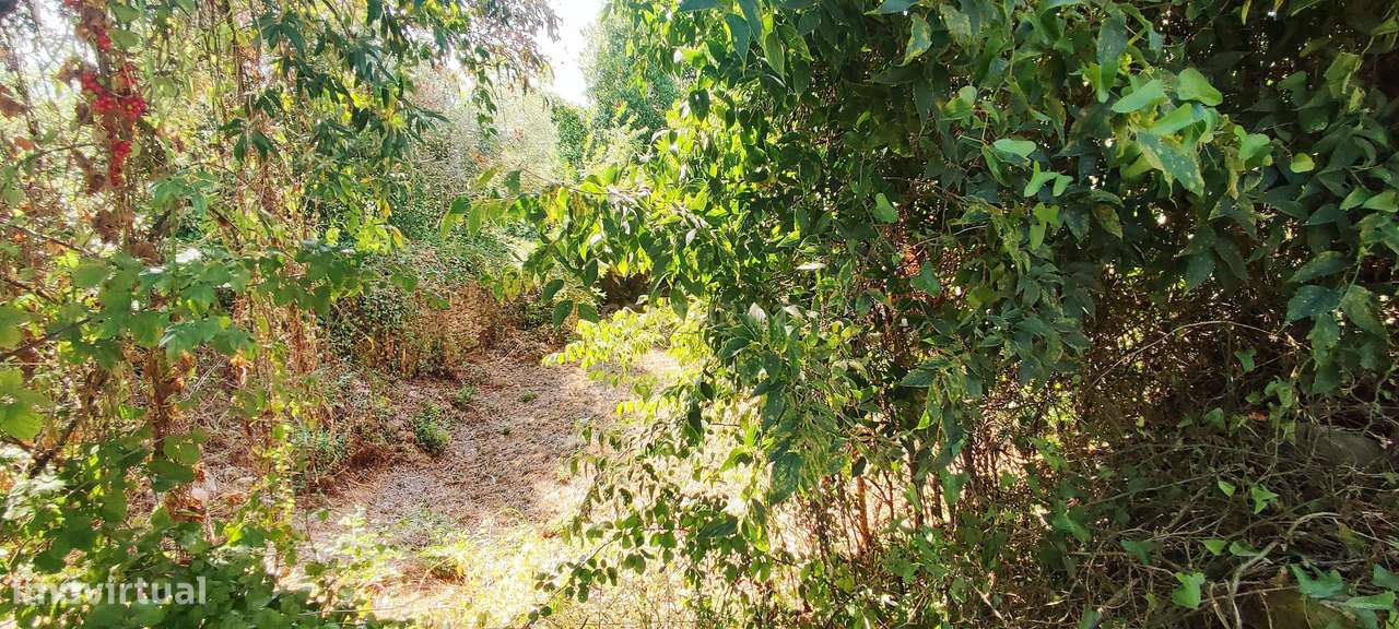 Terreno para construção de moradia em Geria, às portas da cidade de Co - Grande imagem: 4/6