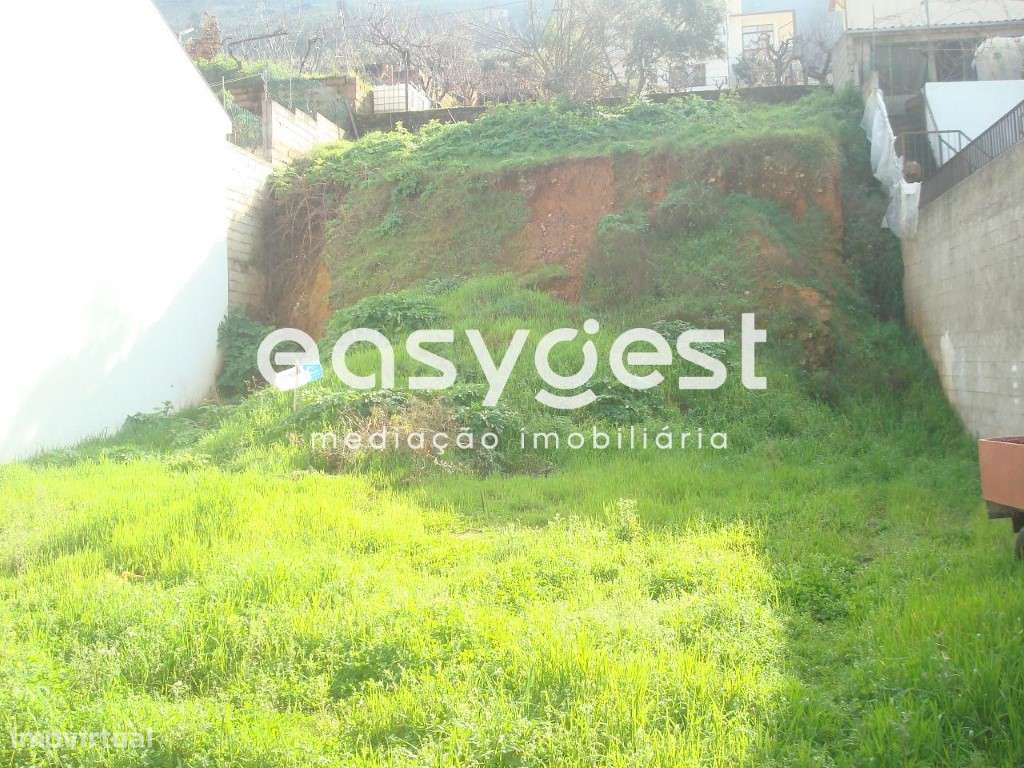 Lote para construção de Moradia próximo do centro da Vila de Torre ... - Grande imagem: 2/7