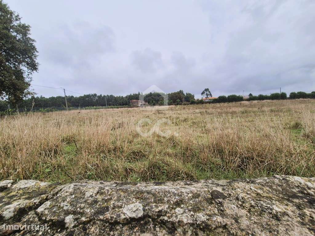 Terreno Agrícola na Lama - Grande imagem: 5/9