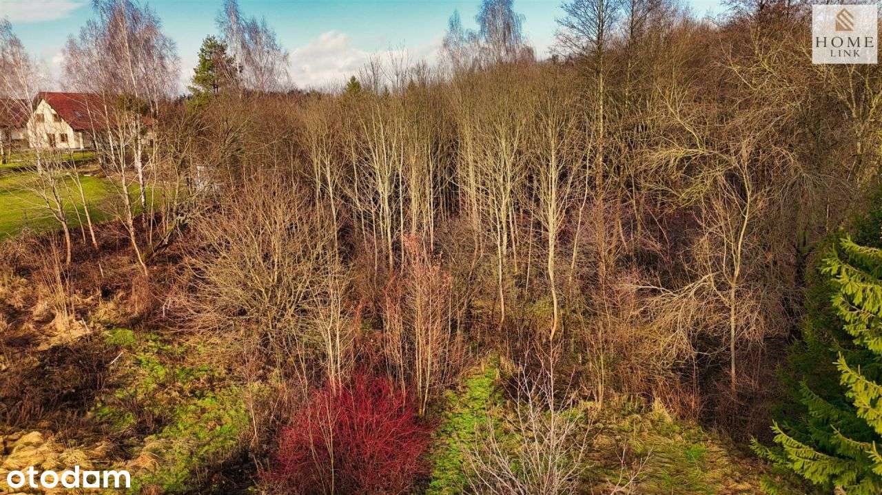 Działka z Mpzp_Myki gmina Dywity-14