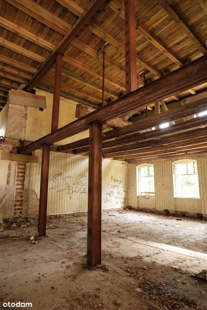 Zabytkowy pałac z parkiem – Wilków, woj. Opolskie-6