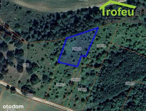 Ciche, spokojne miejsce! Super cena za m2!-1