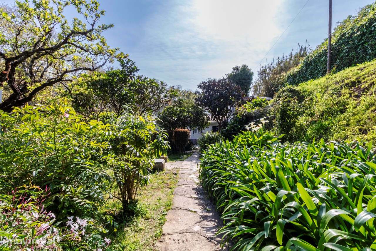 Moradia T6 c/ Terreno de 1600m2 c/ Piscina, Garagem e Anexos em Colare-11