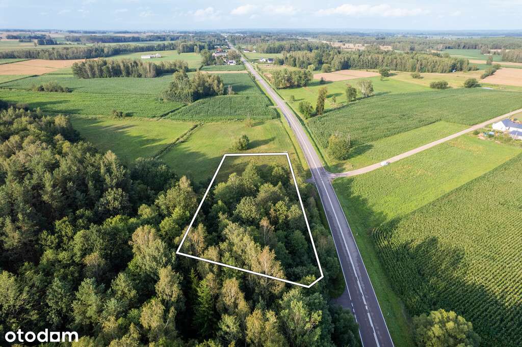 Działka rolno-budowlana 3024m Zygmunty - Pełny obrazek: 5/6