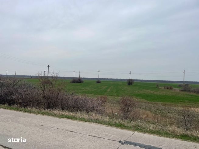 Giurgiu -Marsa Teren Agricol 8.5 Ha Deschidere 80m-0