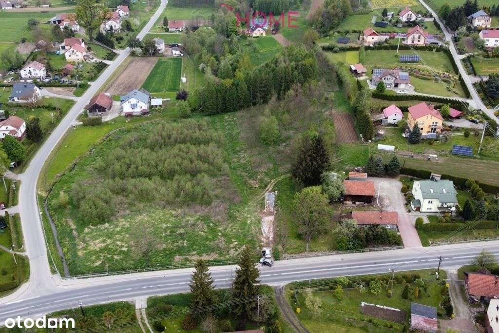 Działka inwestycyjna w Dobrzechowie - Pełny obrazek: 5/8