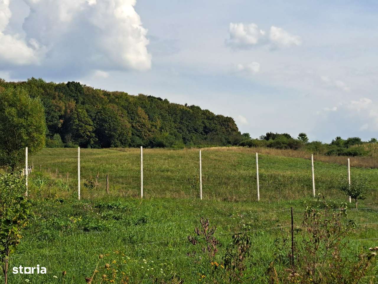 Teren extravilan in Hidiselu de Jos, se poate modifica in intravilan - Imagine principală: 4/9