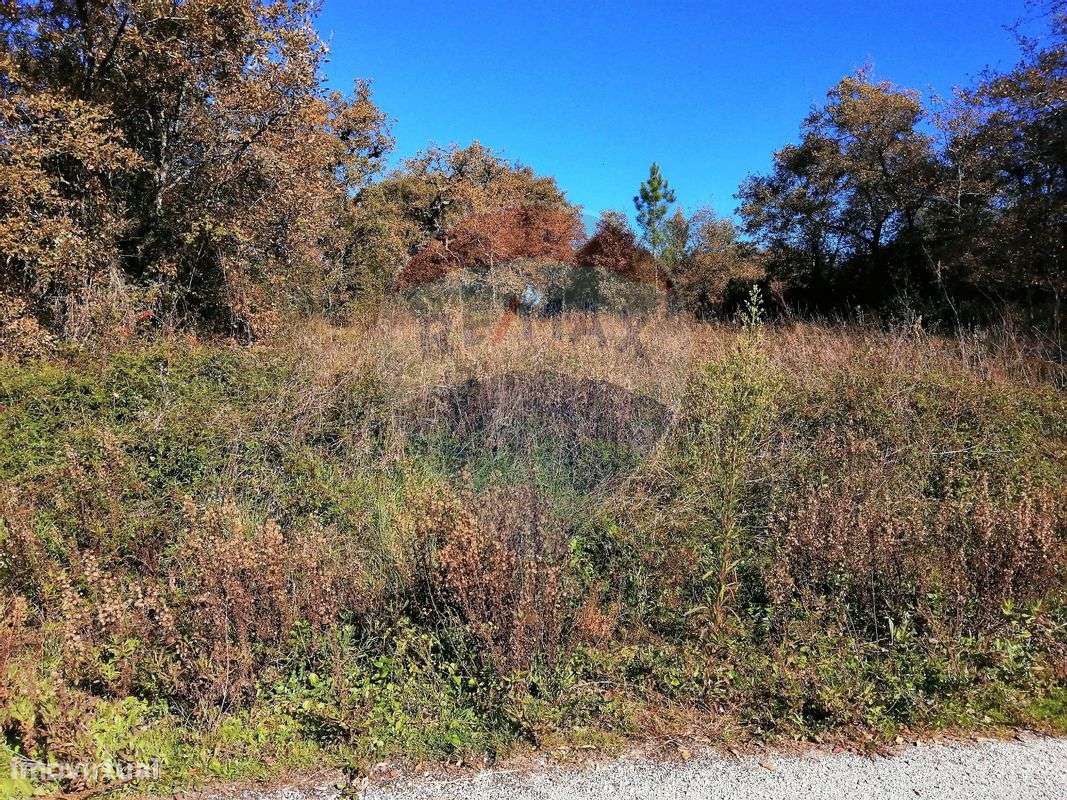 Terreno  para venda - Grande imagem: 5/6