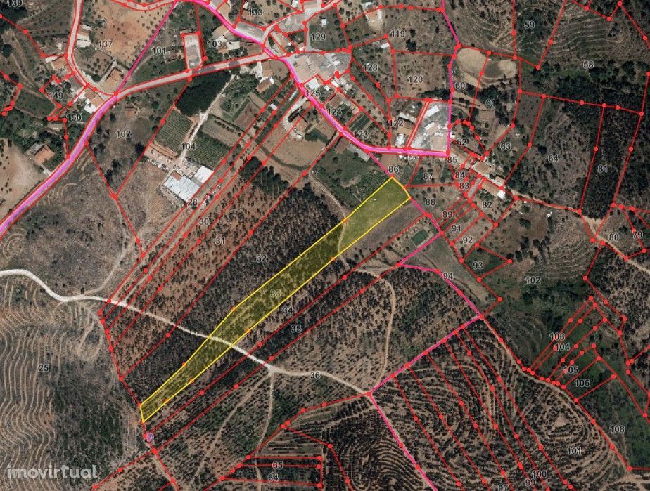 terreno com viabilidade construção e floresta