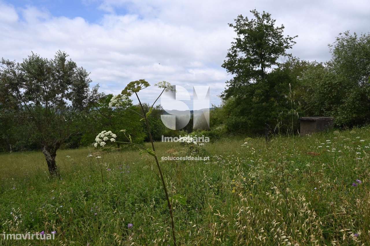 Moradia - Penela - Grande imagem: 4/34