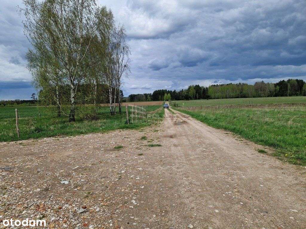 Henrykowo – Raj wśród zieleni, spokój i natura-8