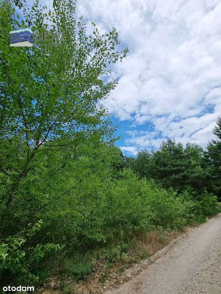 Na sprzedaż działka w bardzo atrakcyjnej cenie-6