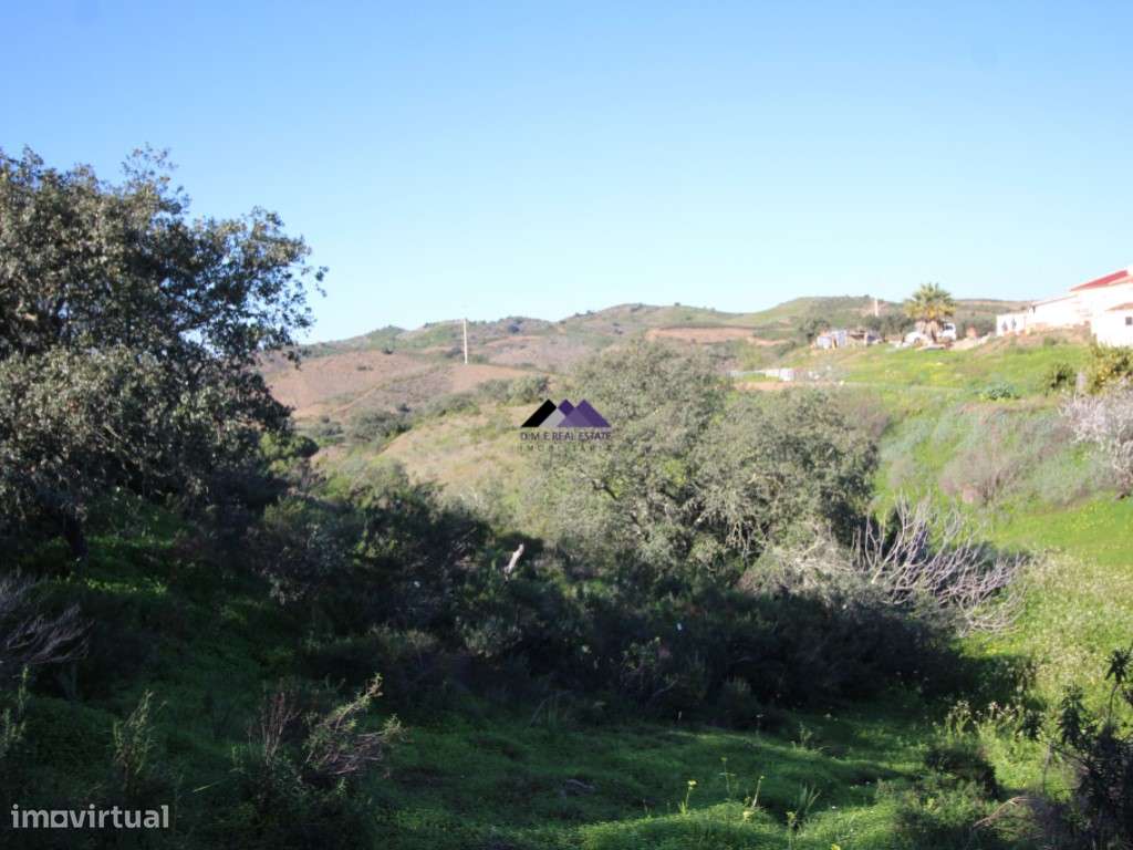 Terreno Rústico | 34.000 m² | Corga da Madeira - Junqueira, Castro ...-8