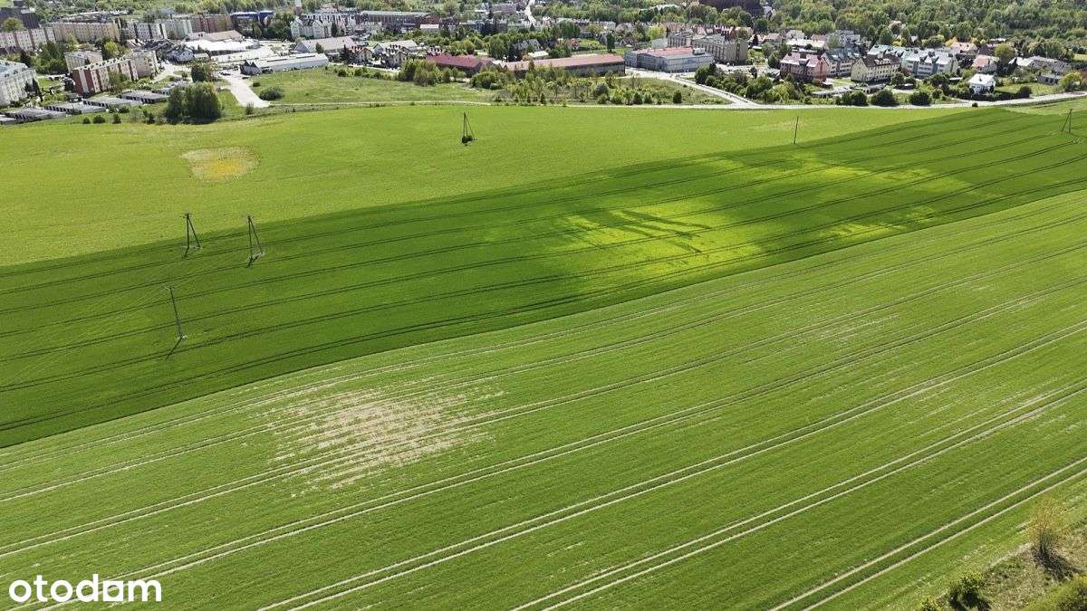 Działka inwestycyjna dla dewelopera! Pelplin! - Pełny obrazek: 4/18