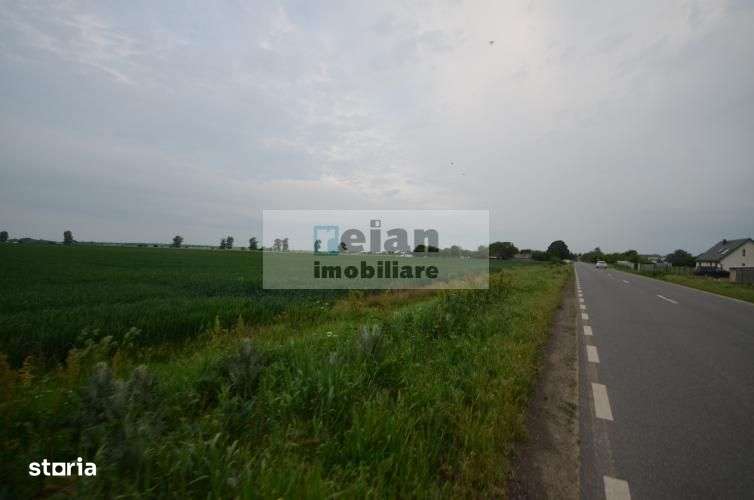 Dascalu - Teren 7ha, Deschidere 130 Ml La Dj 200, Utilitati Investitie - Imagine principală: 4/6