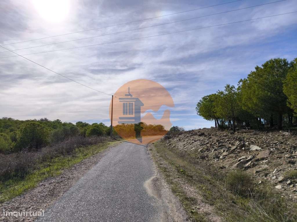 TERRENO COM 16.000 M2 - PLANO - ELETRICIDADE - TORNEIRO EM ALCOUTIM... - Grande imagem: 3/33