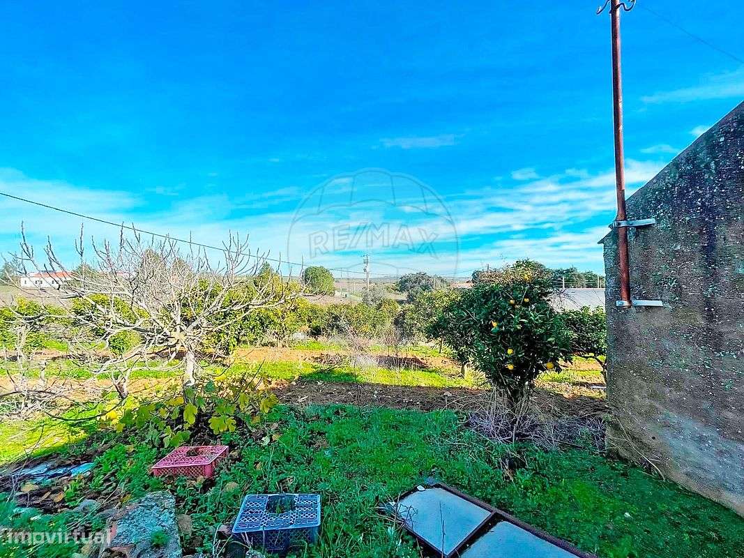 Quinta  para venda-33