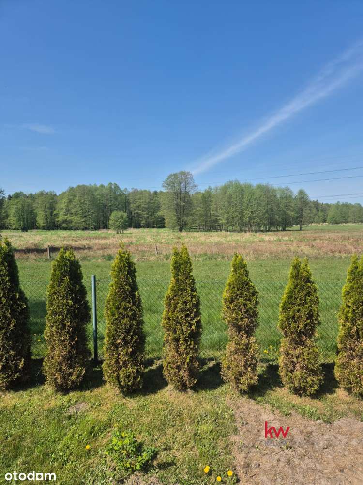 Gotowa skrzynka z prądem! ogrodzona, widok na las! - Pełny obrazek: 5/10