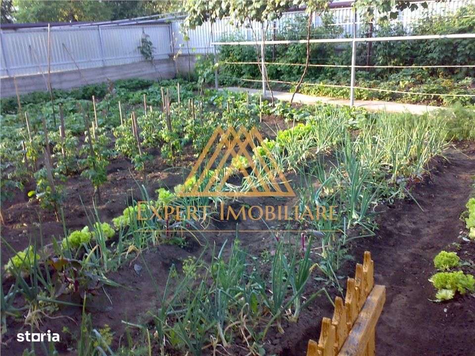 Casa Gospodarului din Bucovina-12