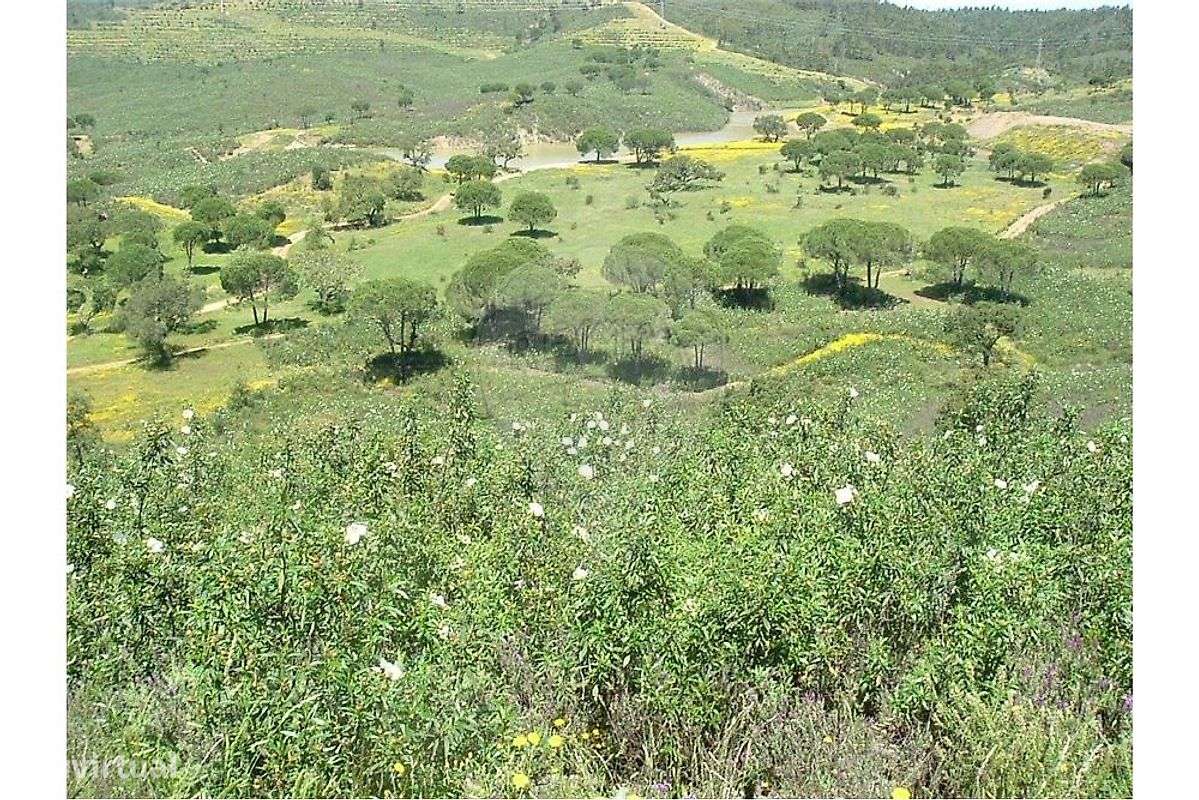 Investimentos T0 para venda - Grande imagem: 3/30