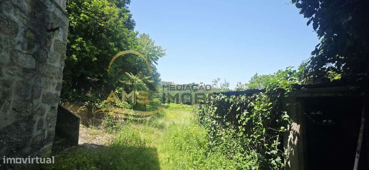 QUINTA A DOIS PAÇOS DA CIDADE COM 2,5ha-19