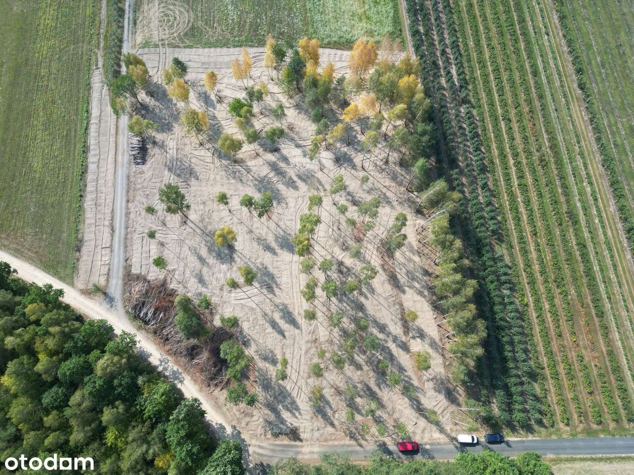 Wyjątkowe działki budowlane na sprzedaż | Zimnice-6