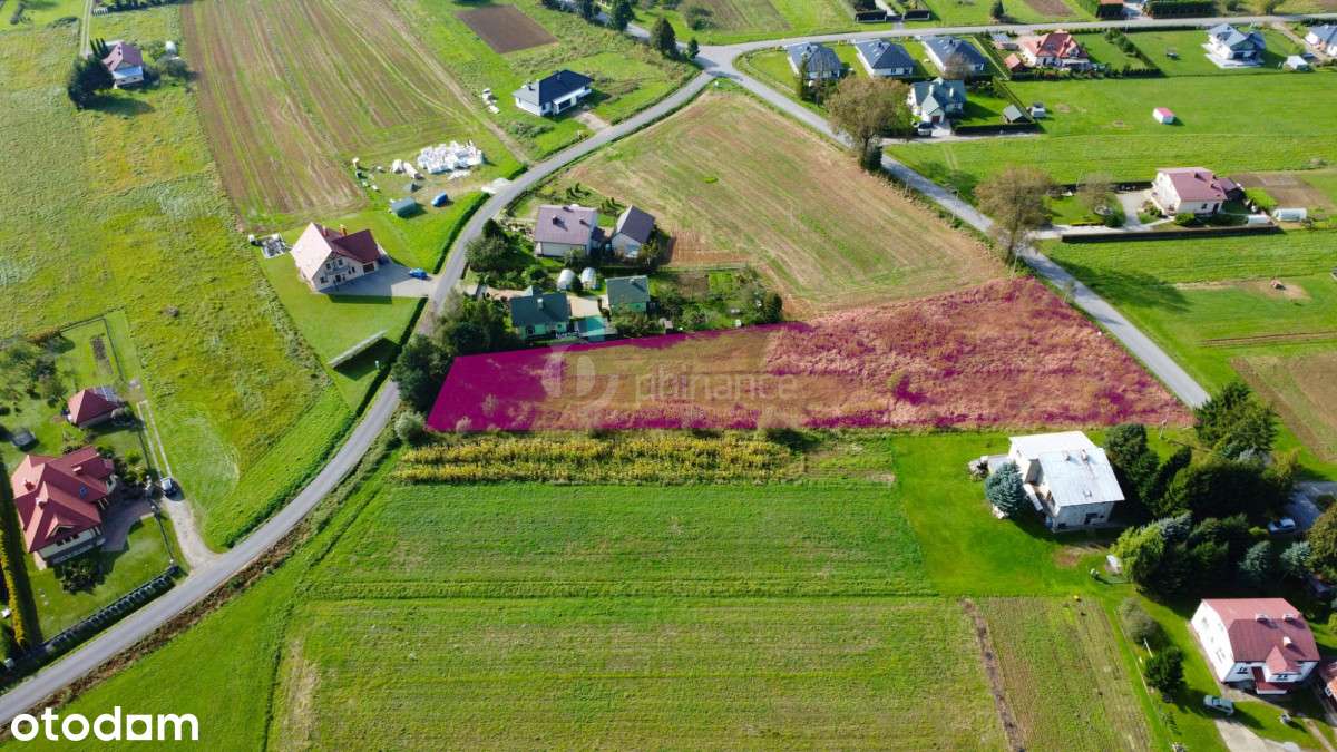 484972 - Pełny obrazek: 5/12