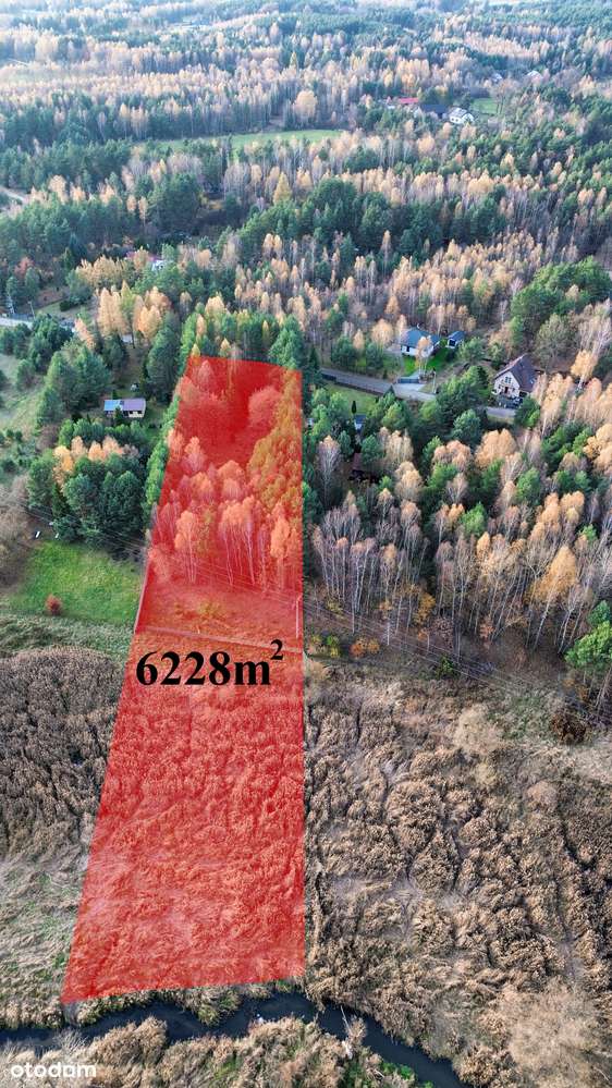DZIAŁKA BUDOWLANA+LAS |6228 m² | MEDIA W DRODZE | ZALEW PORAJSKI - 3km - Pełny obrazek: 4/14