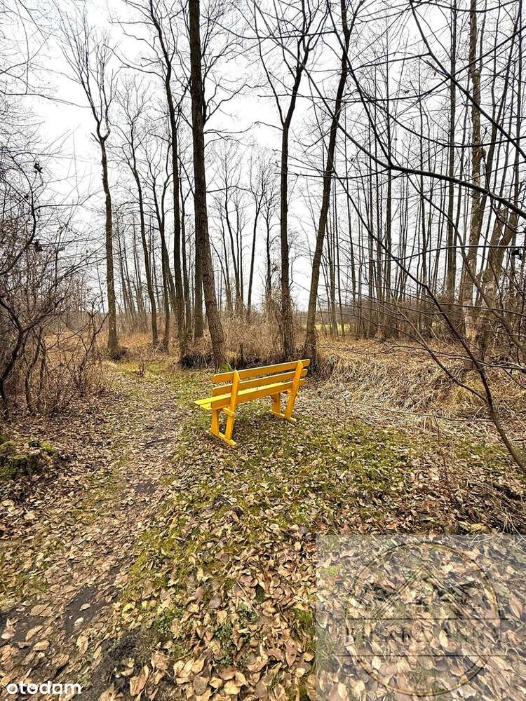 Działka na sprzedaż Mariew Stare Babice blisko las - Pełny obrazek: 5/7