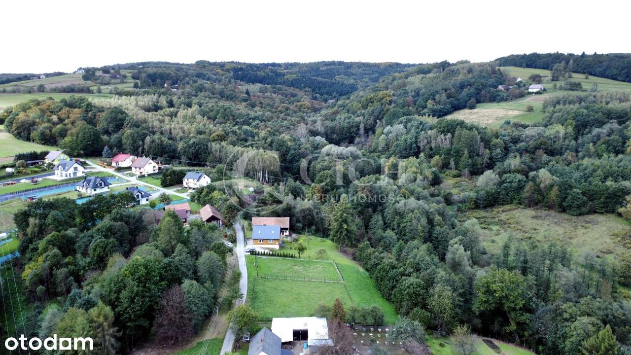 Działka budowlana w Piotrkowicach-8