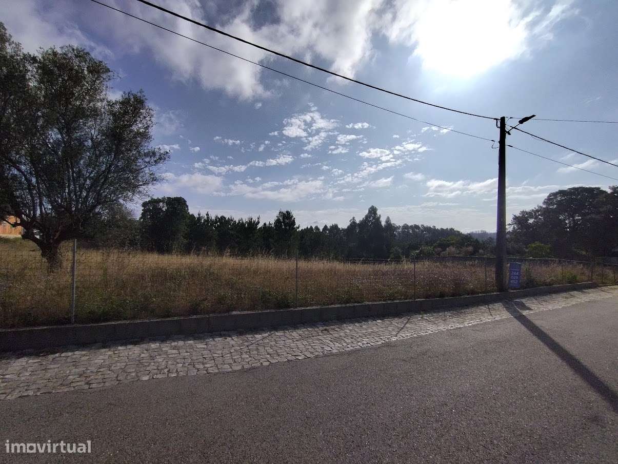 Terreno plano para construção / 9000 m2 / Boa Vista / Leiria - Grande imagem: 2/6
