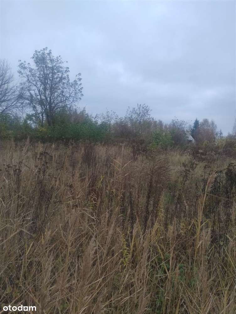 Działka Morasko - Pełny obrazek: 5/5