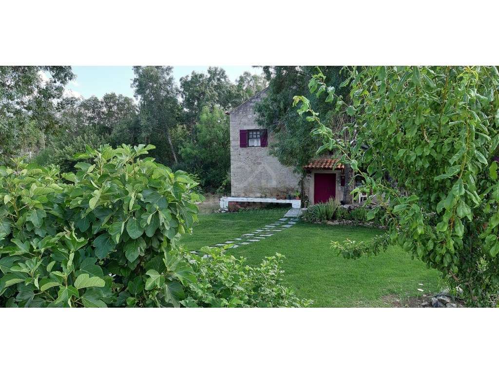 Moradia independente T5 na Ribeira da Ocreza, Alcains - Grande imagem: 2/47