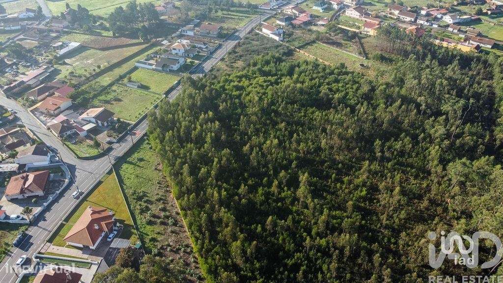 Terreno em Beduído e Veiros - Grande imagem: 5/6