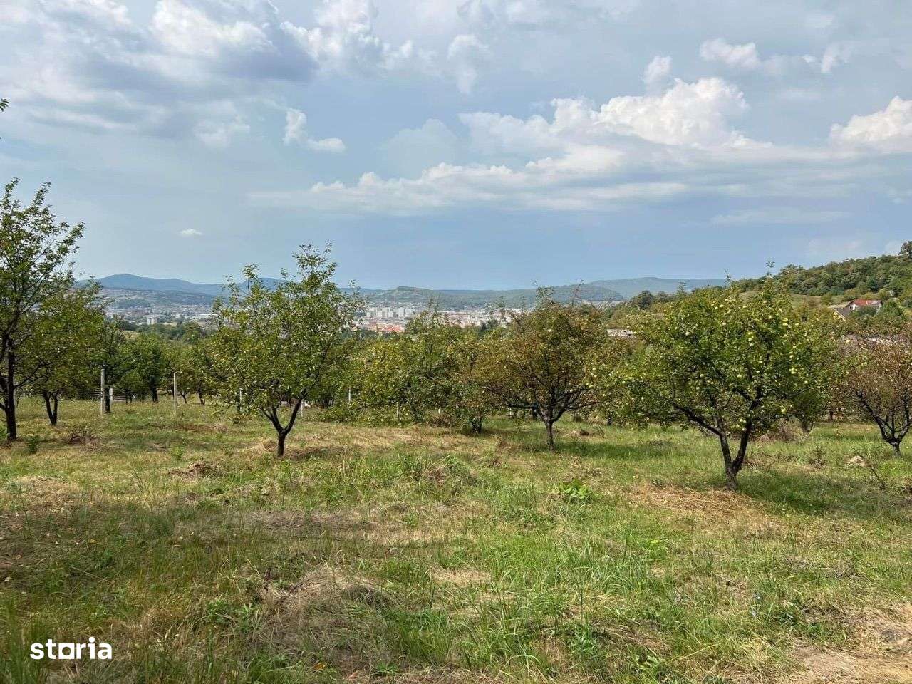 Teren de vânzare Zona Budacului - Imagine principală: 2/4