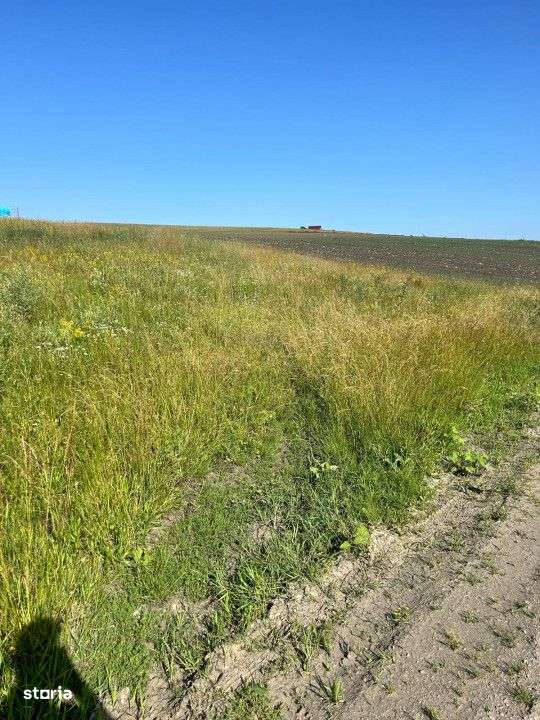 Teren intravilan 2.900mp front la strada 18m zona Chinteni lac - Imagine principală: 3/4