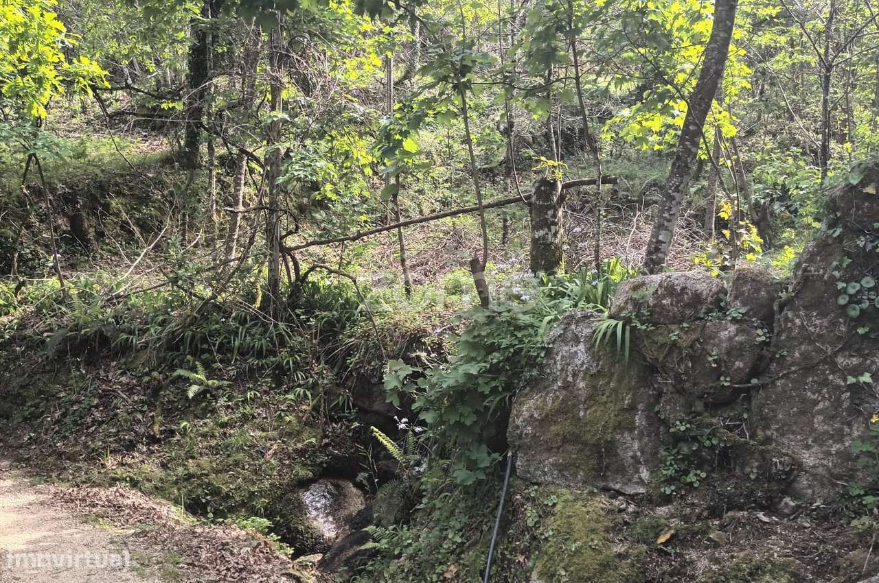 Terreno Rustico em Vieira do Minho - Grande imagem: 4/60