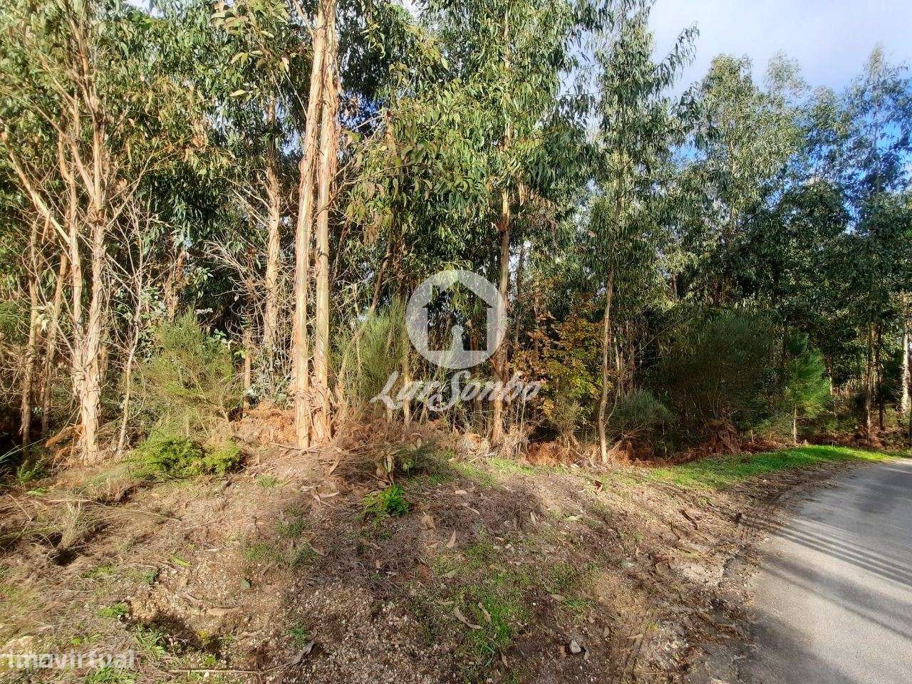 Terreno rústico Basto S. Clemente Celorico de Basto - Grande imagem: 2/4