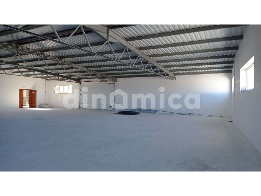 Novidade! - Grande imagem: 4/8