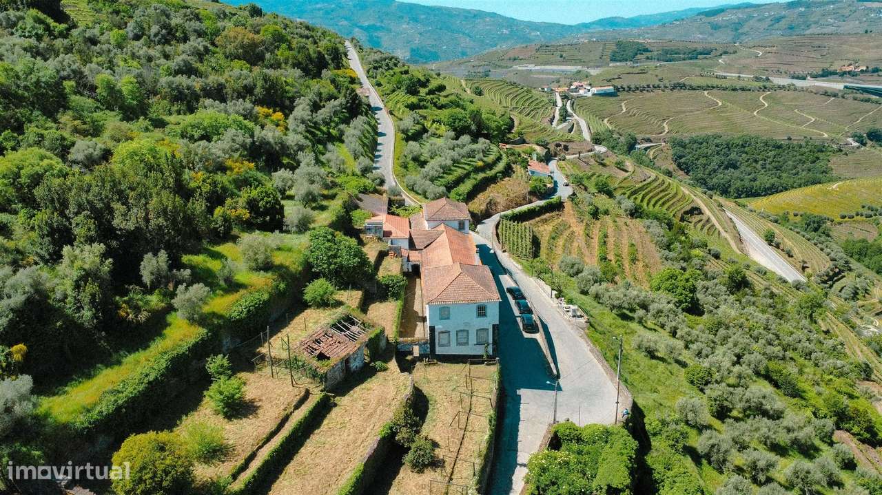 Quinta com Casa senhorial brasonada do Século XVIII na região do Douro-7