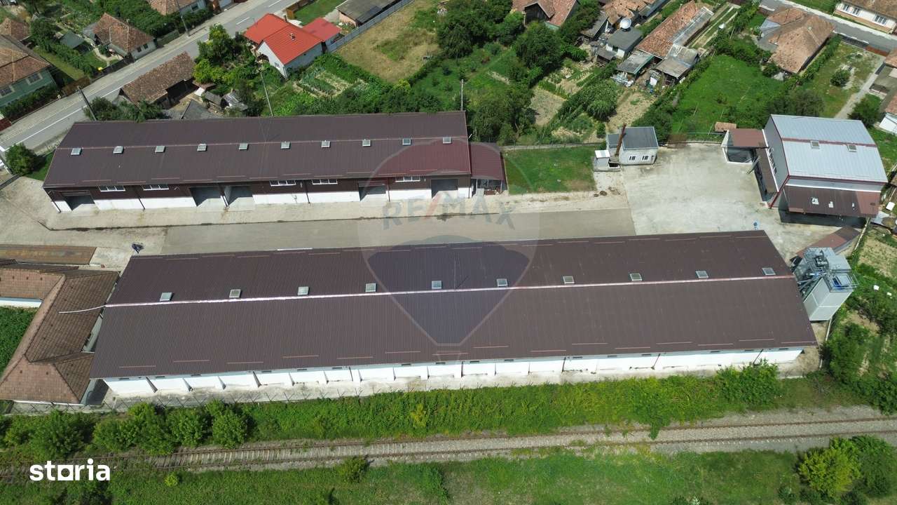 Spațiu industrial de vânzare în Sângeorgiu de Pădure, județul Mureș - Imagine principală: 5/20