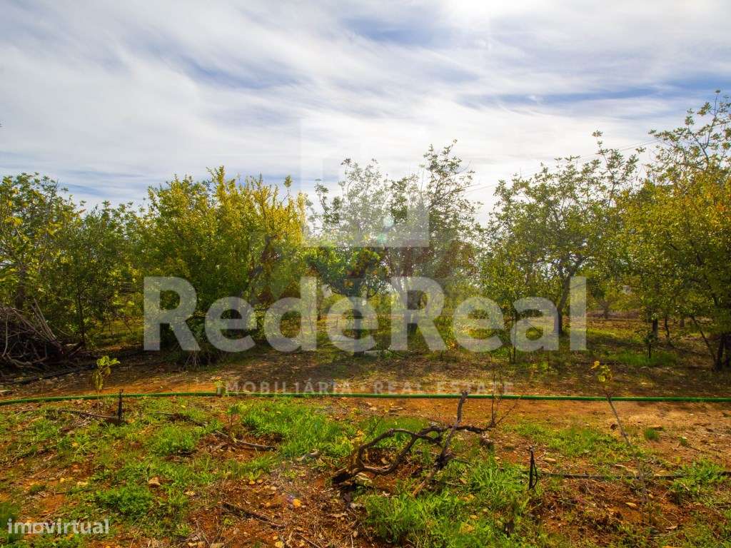 Moradia com 1. 556 hectares com furo e água da rede-13