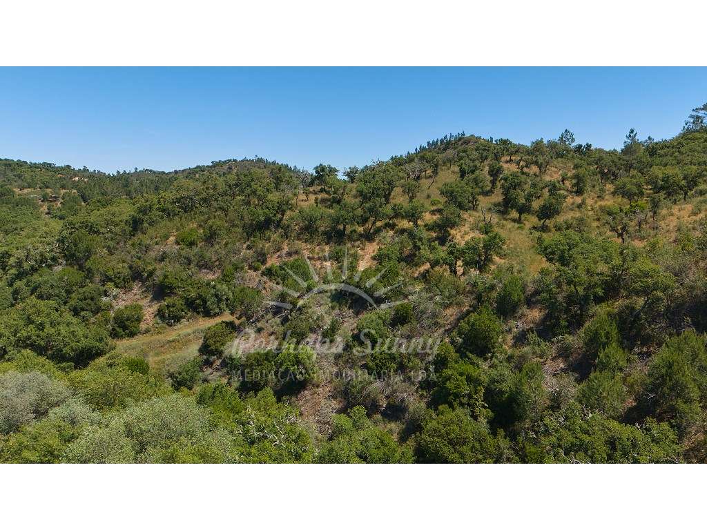 Propriedade Rústica de Montado com Ribeira | 22,6 Hectares | Serra ...-20