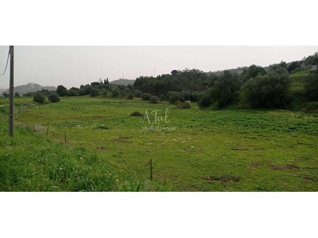 HERDADE NA SERRA DE PALMELA - Grande imagem: 5/22