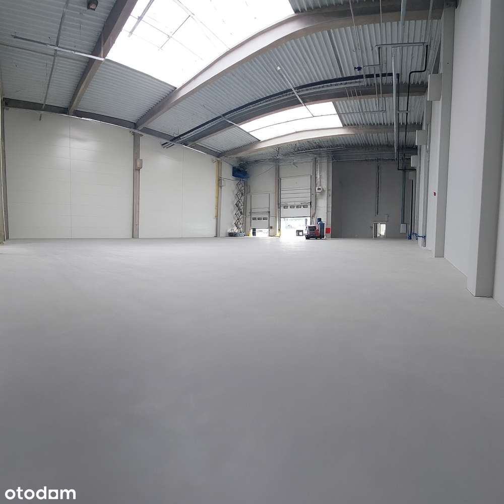Hala produkcyjna 731 m2 do wynajęcia - Pełny obrazek: 2/3
