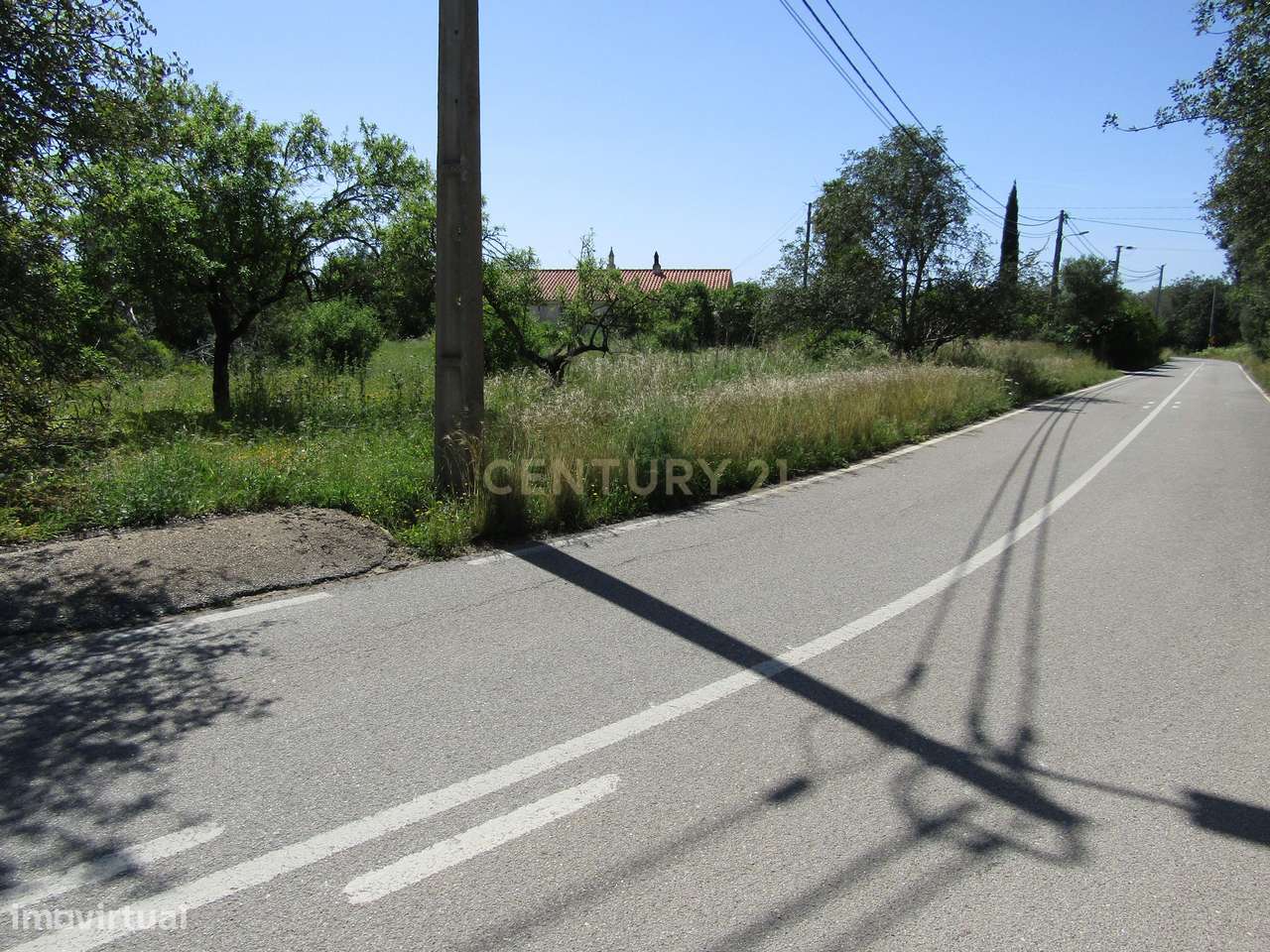 Terreno Rústico em Boliqueime - Grande imagem: 3/6